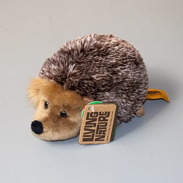 Hedgehog Toy