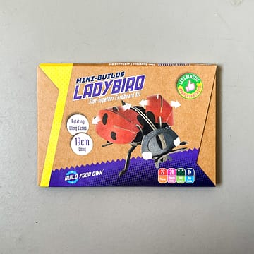 ladybird front